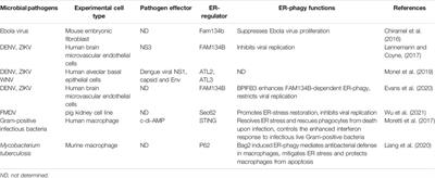 ER-Phagy and Microbial Infection